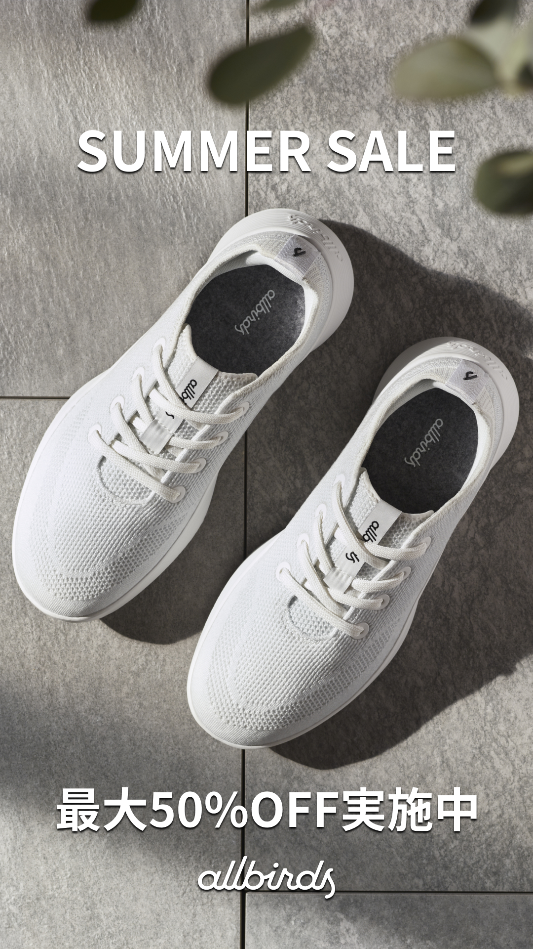 Allbirds Japan Facebook ad