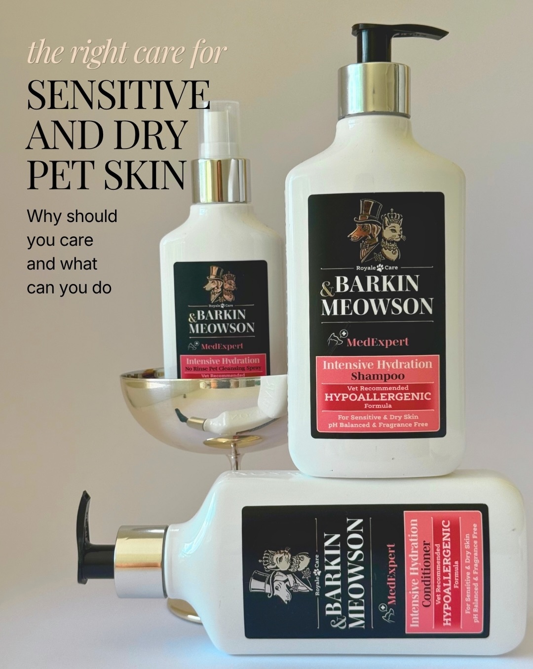 Barkin & Meowson Facebook ad: Pet care for us is about bringing comfort…
