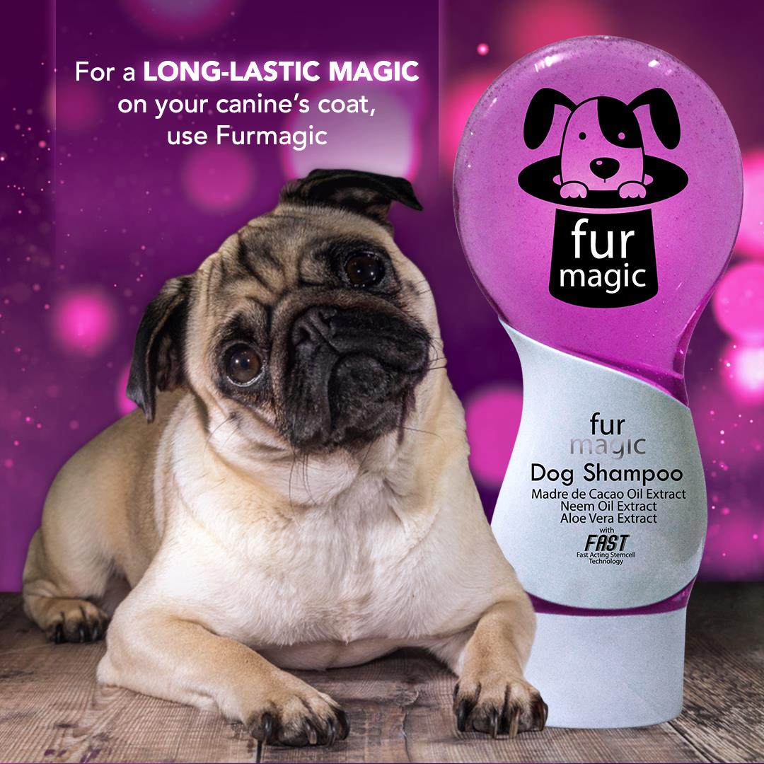 Furmagic Facebook ad