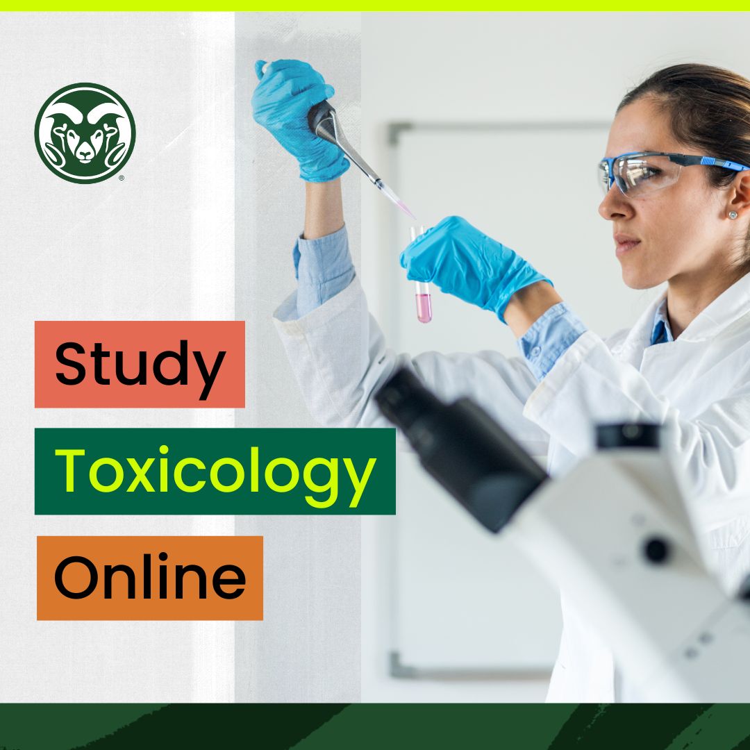 Colorado State University Online Facebook ad