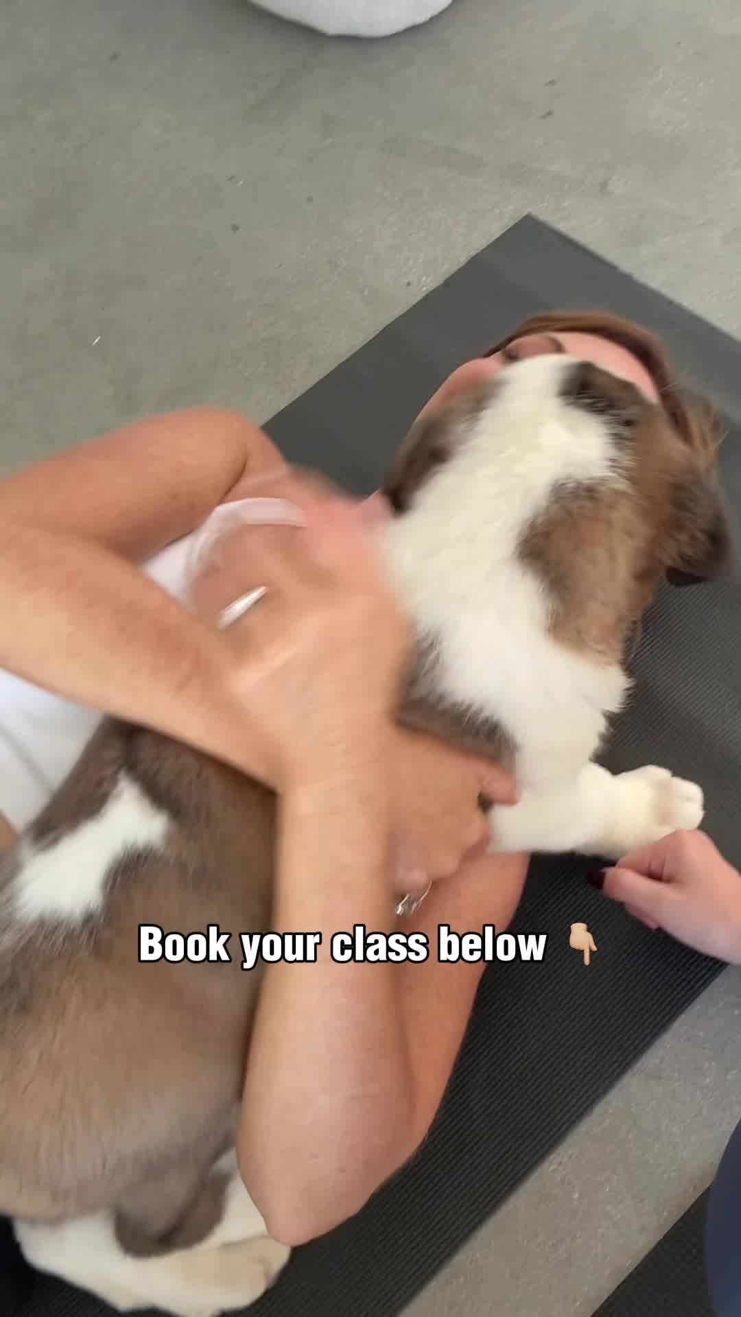 Puppies&Yoga Nashville Facebook ad: Book your class now!