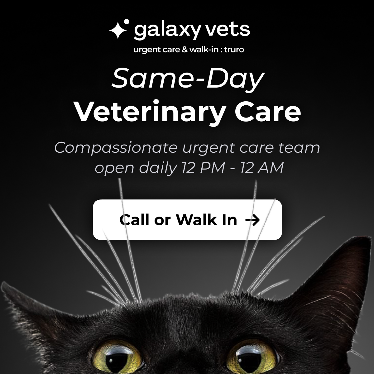 Galaxy Vets Urgent Care & Walk-in Truro Facebook ad from Mar 24, 2026