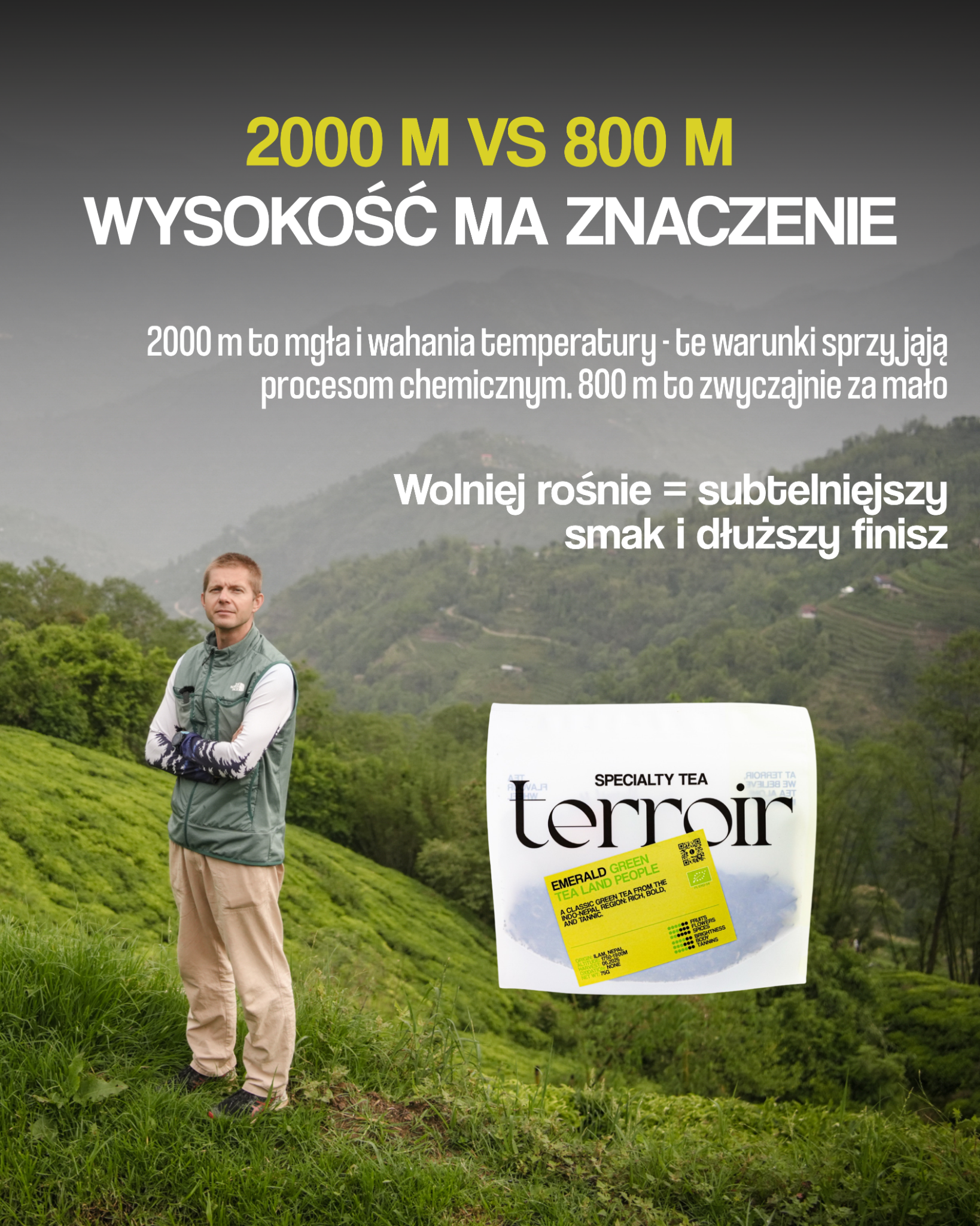 Terroir Facebook ad from Aug 17, 2026