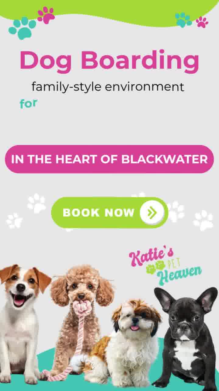 Katie's Pet Heaven Facebook ad: Dog Boarding