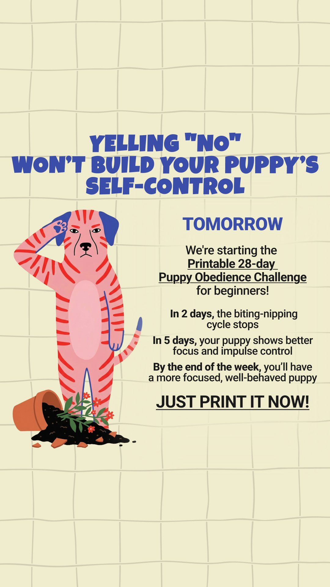 Dog Training & Tips Facebook ad