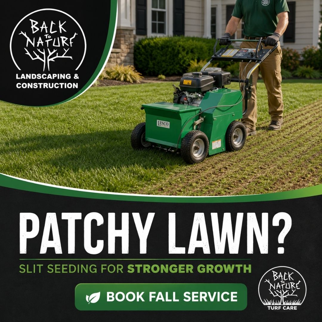 Back to Nature Landscaping & Construction Facebook ad