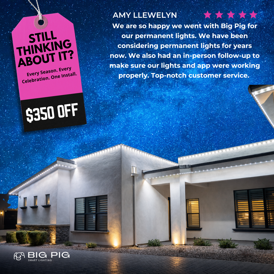 Big Pig Smart Lighting Facebook ad