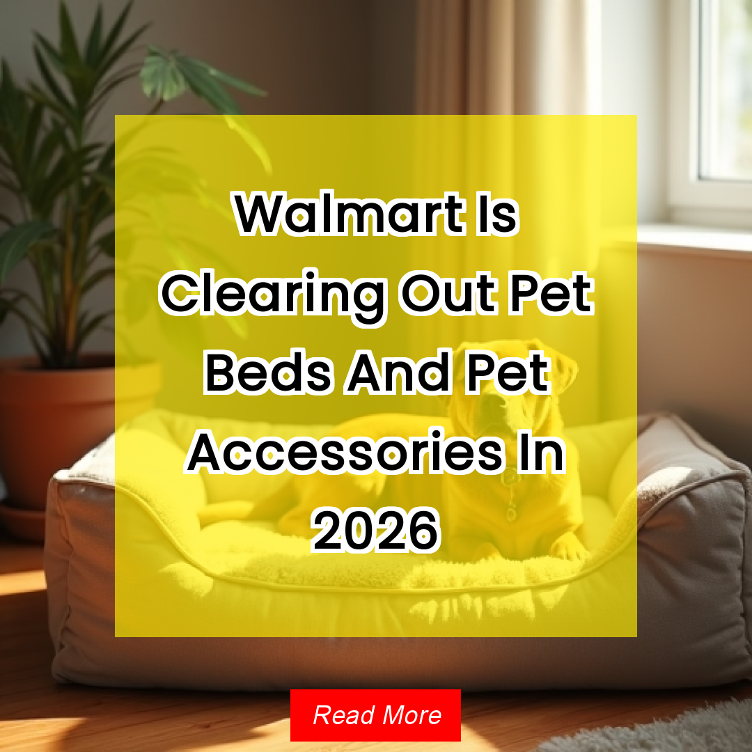 Trendy 365 Facebook ad: Walmart Is Clearing Out Pet Beds And Pet Accessories In…