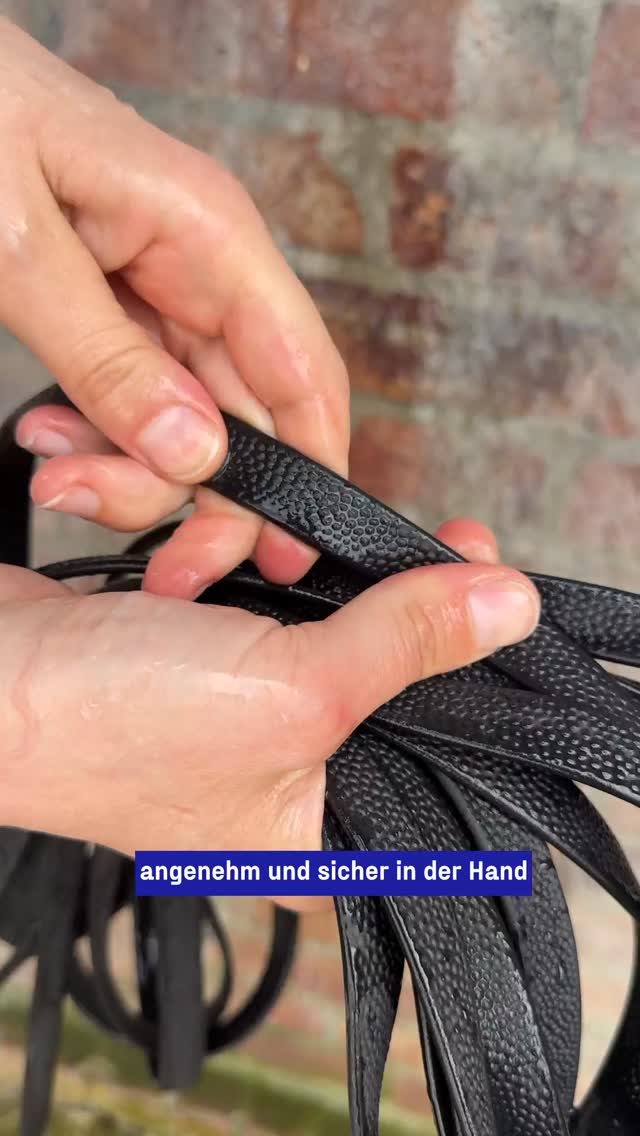Sprenger Equestrian Facebook ad: Regen, Matsch und eine Longe, die nach ein…