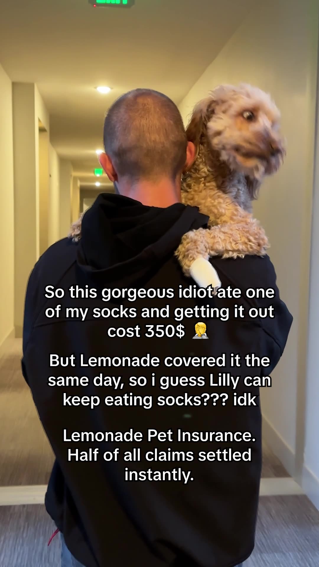 Lemonade Facebook ad: Lemonade Pet Insurance