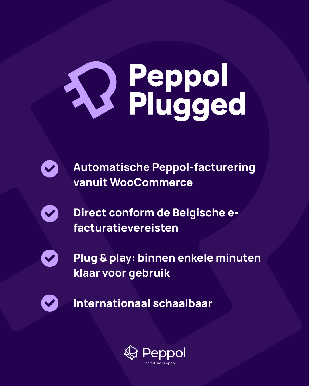 Peppol Plugged Facebook ad: E-facturatie via Peppol, klaar in minuten