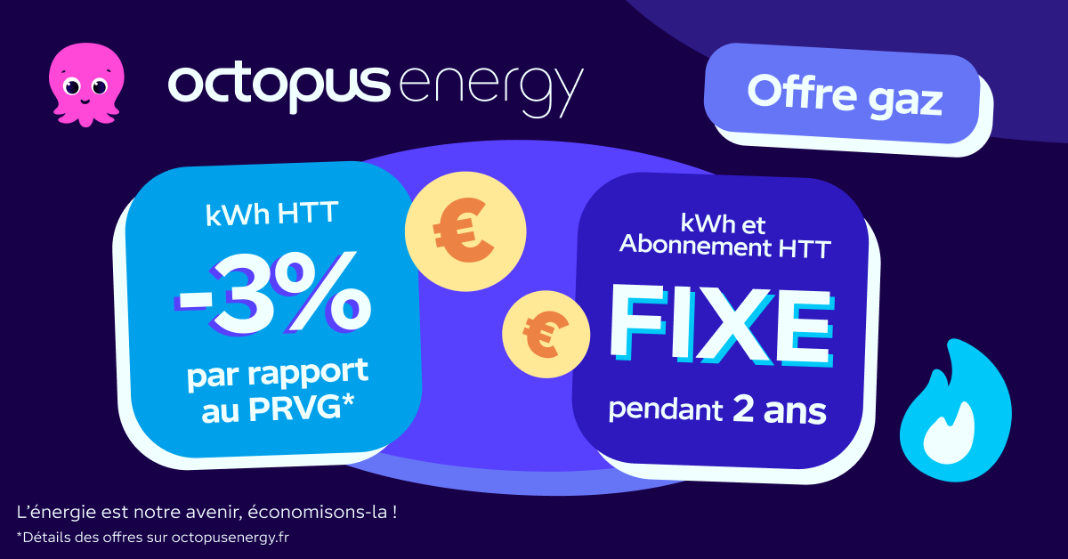 Octopus Energy Facebook ad