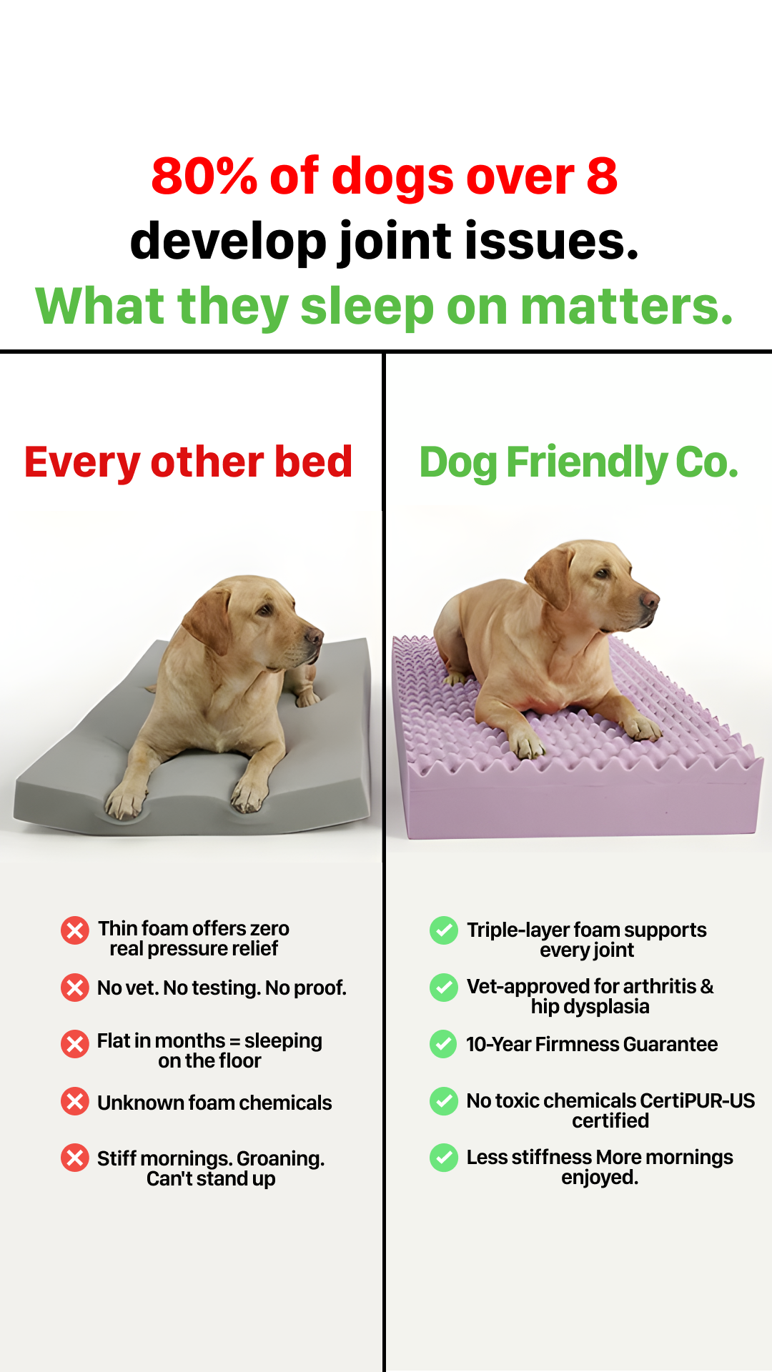 Dog Friendly Co. Facebook ad