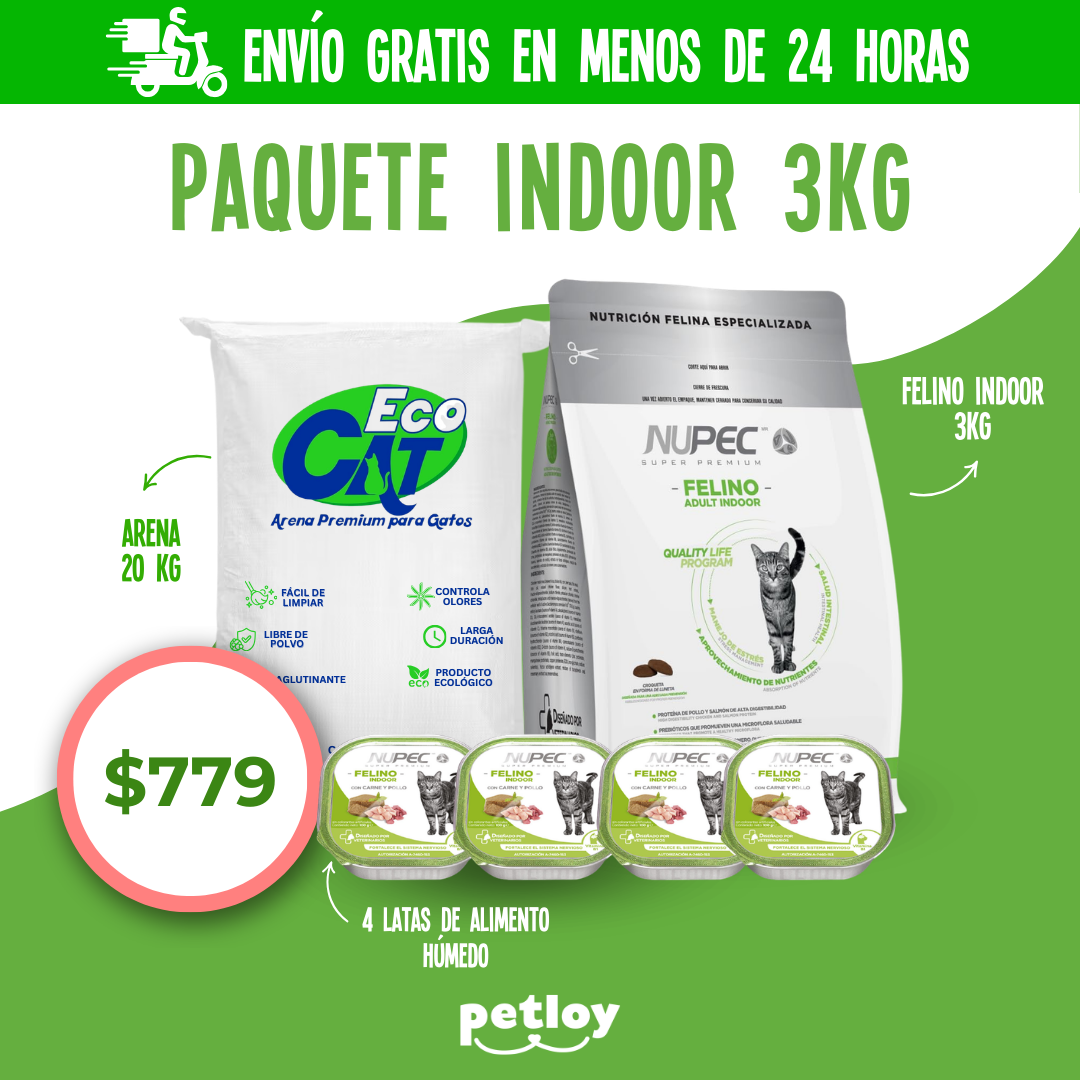 Petloy Monterrey Facebook ad