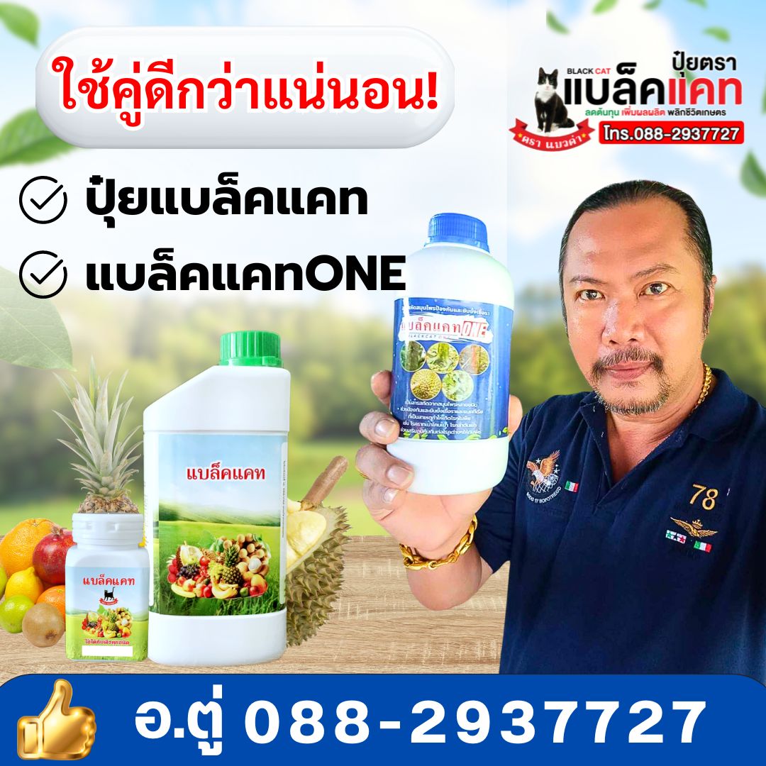 ปุ๋ยแบล็คแคท นวัตกรรมเพิ่มผลผลิต Facebook ad: ! คู่นี้ดีจริงจนต้องบอกต่อ ชาวสวนต่างต้องยกนิ้วให้
