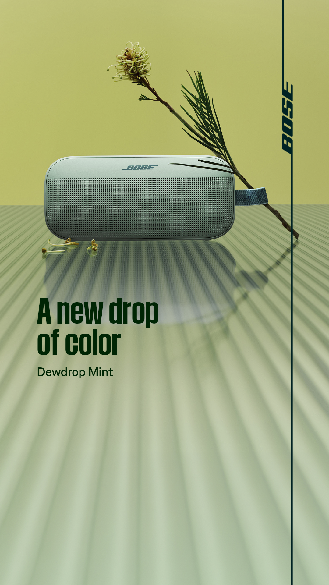 Bose Facebook ad