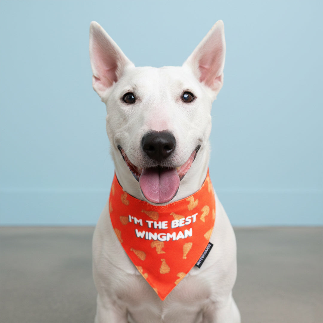 Mutt of Course Facebook ad