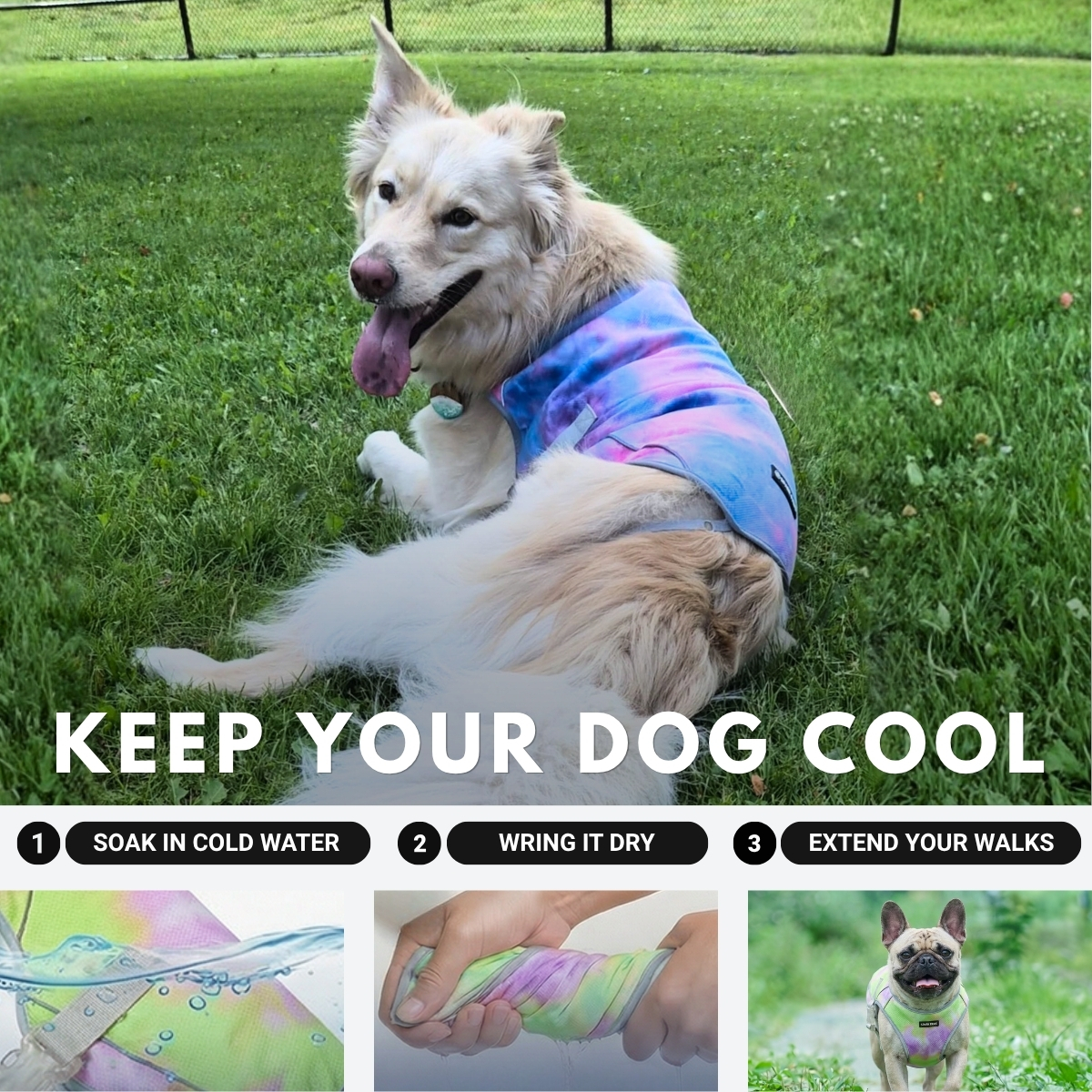 Spark Paws Facebook ad