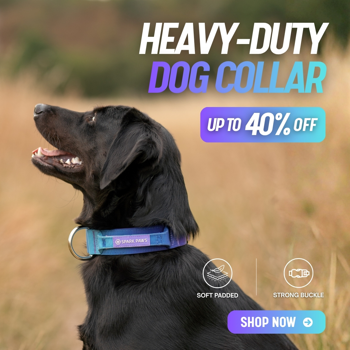 Spark Paws Facebook ad