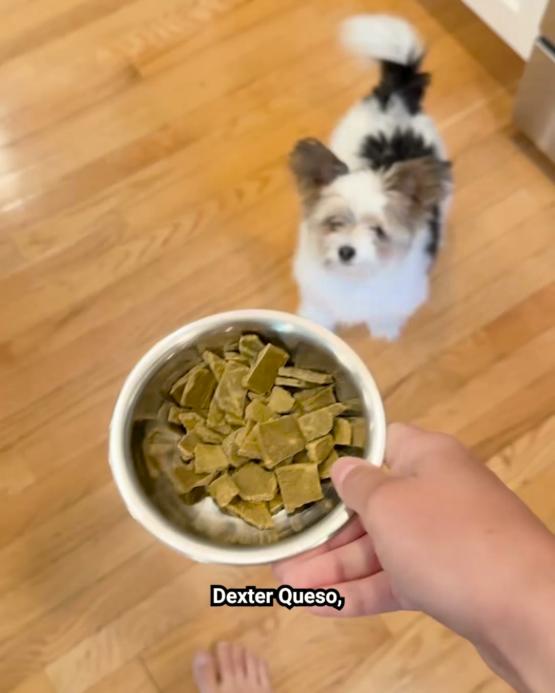 Sundays Facebook ad: Sundays is no mess, no prep dog food…