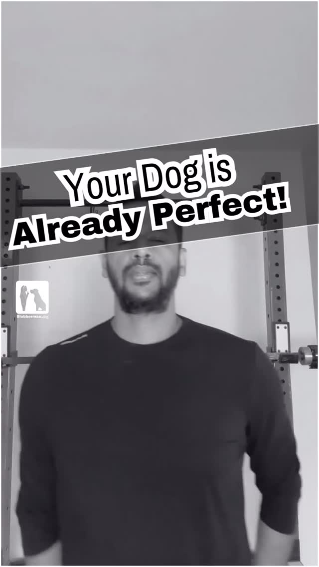 Slobberman.dog Facebook ad: We do not make false promises and give…