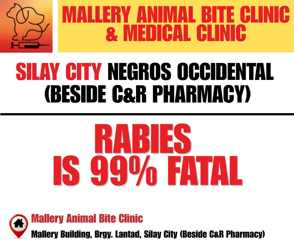 Silay Animal Bite Clinic & Medical Clinic - Mallery Facebook ad