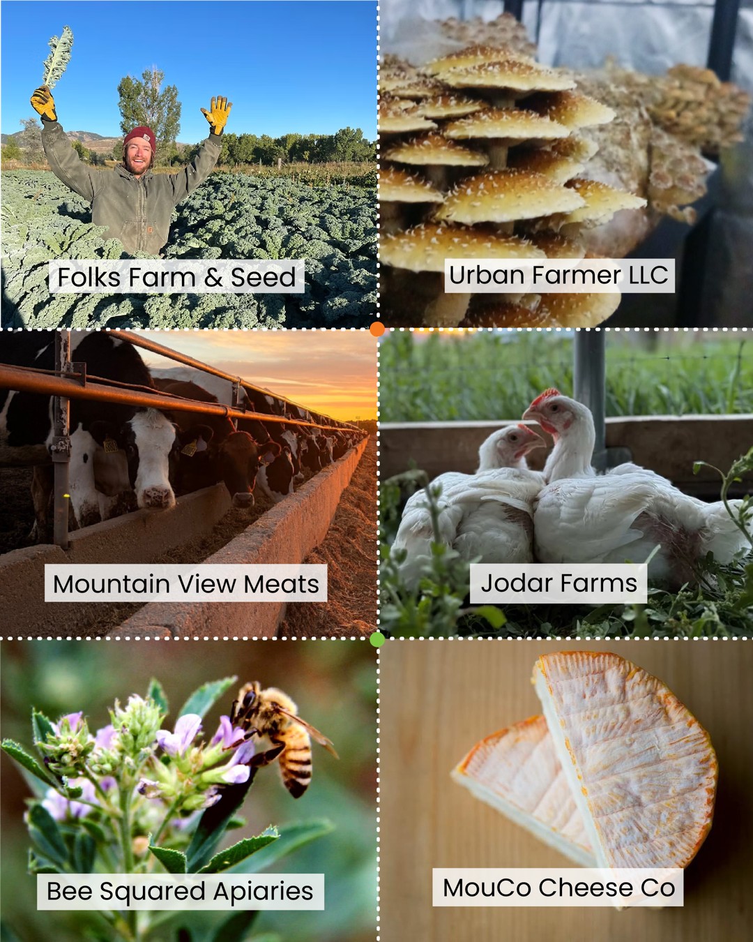 Larimer County CSU Extension Facebook ad: 20+ local producers.
