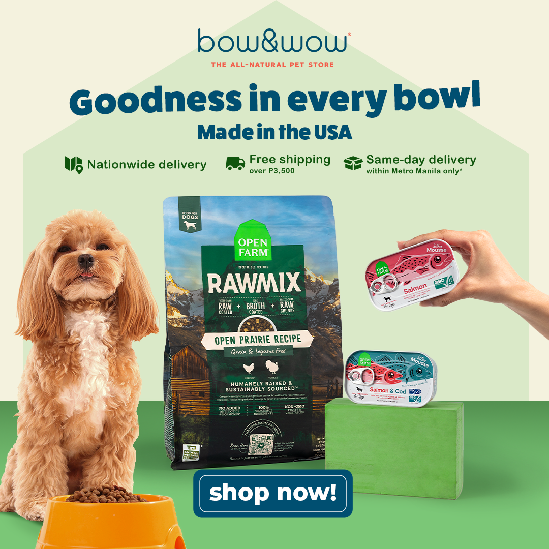 Bow & Wow – The All-Natural Pet Store Facebook ad