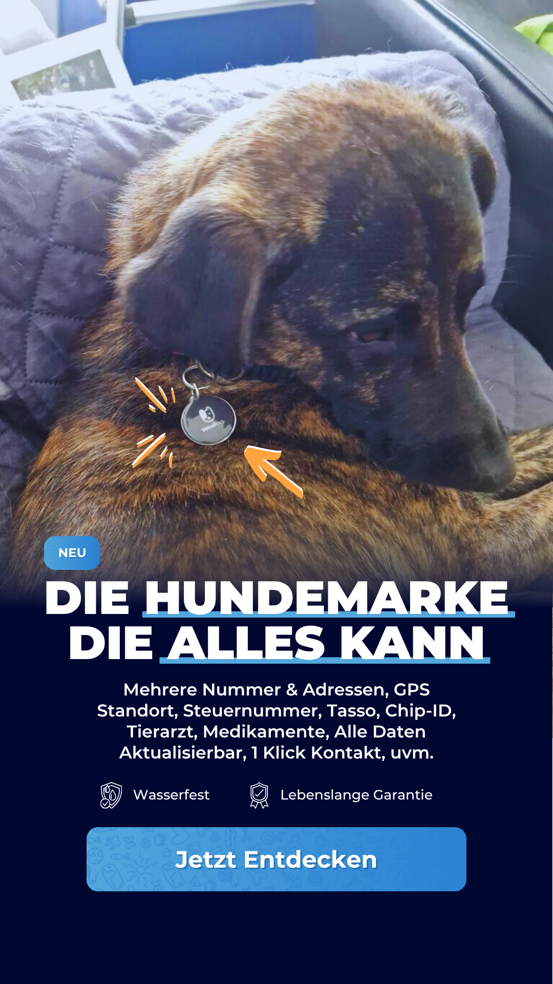 Wooftag. Facebook ad