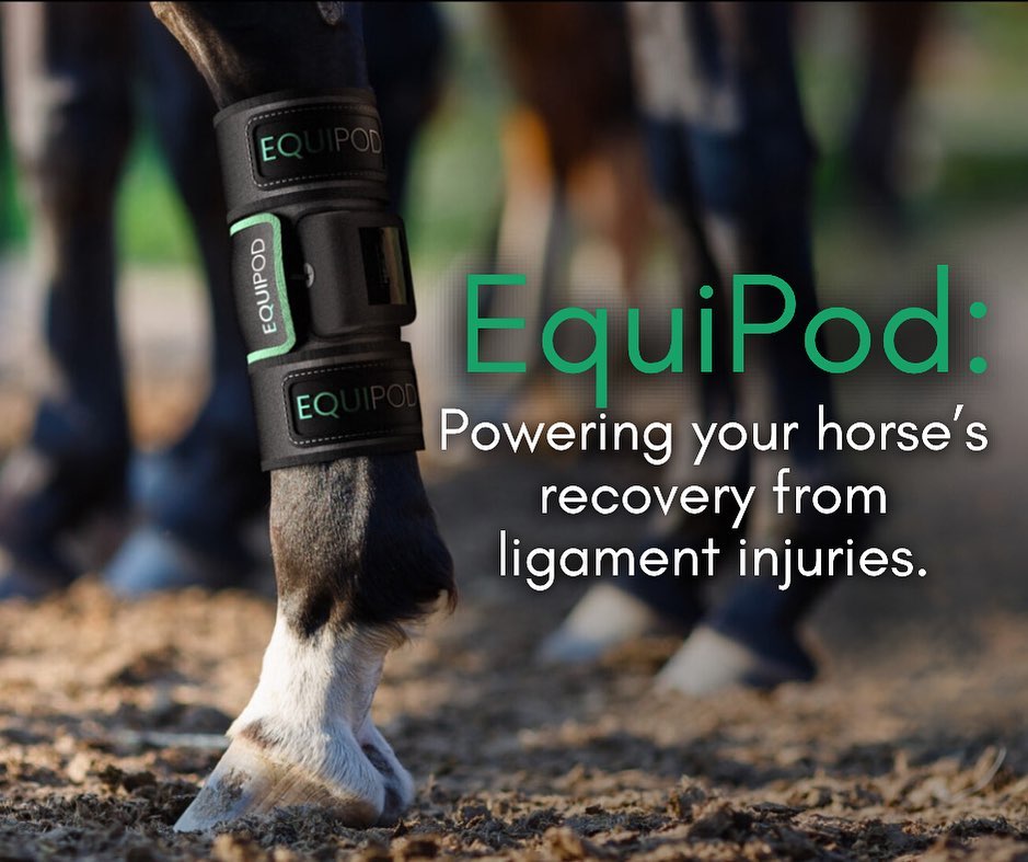 Myeusa Facebook ad: Is your horse suffering from a soft tissue…