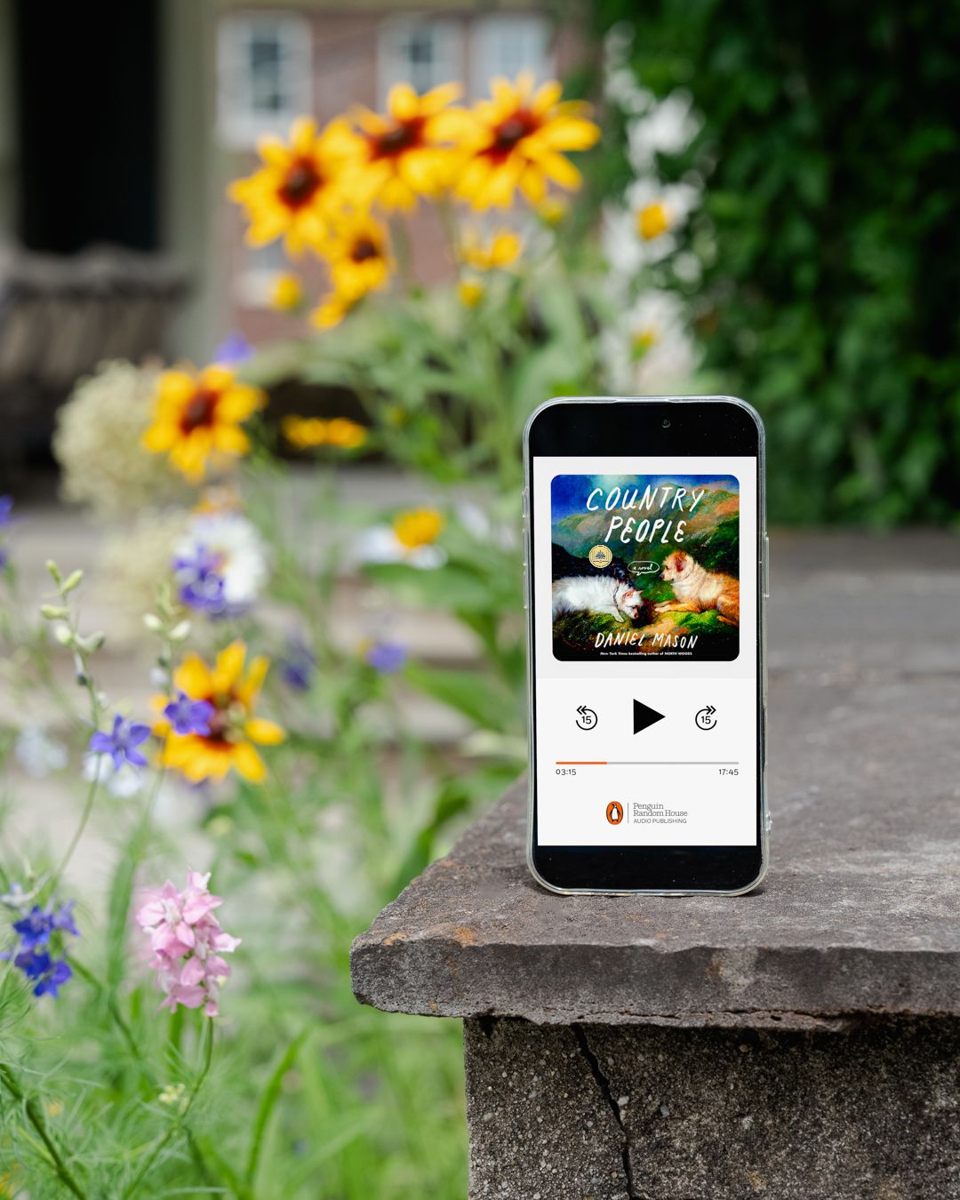 Penguin Random House Audio Facebook ad