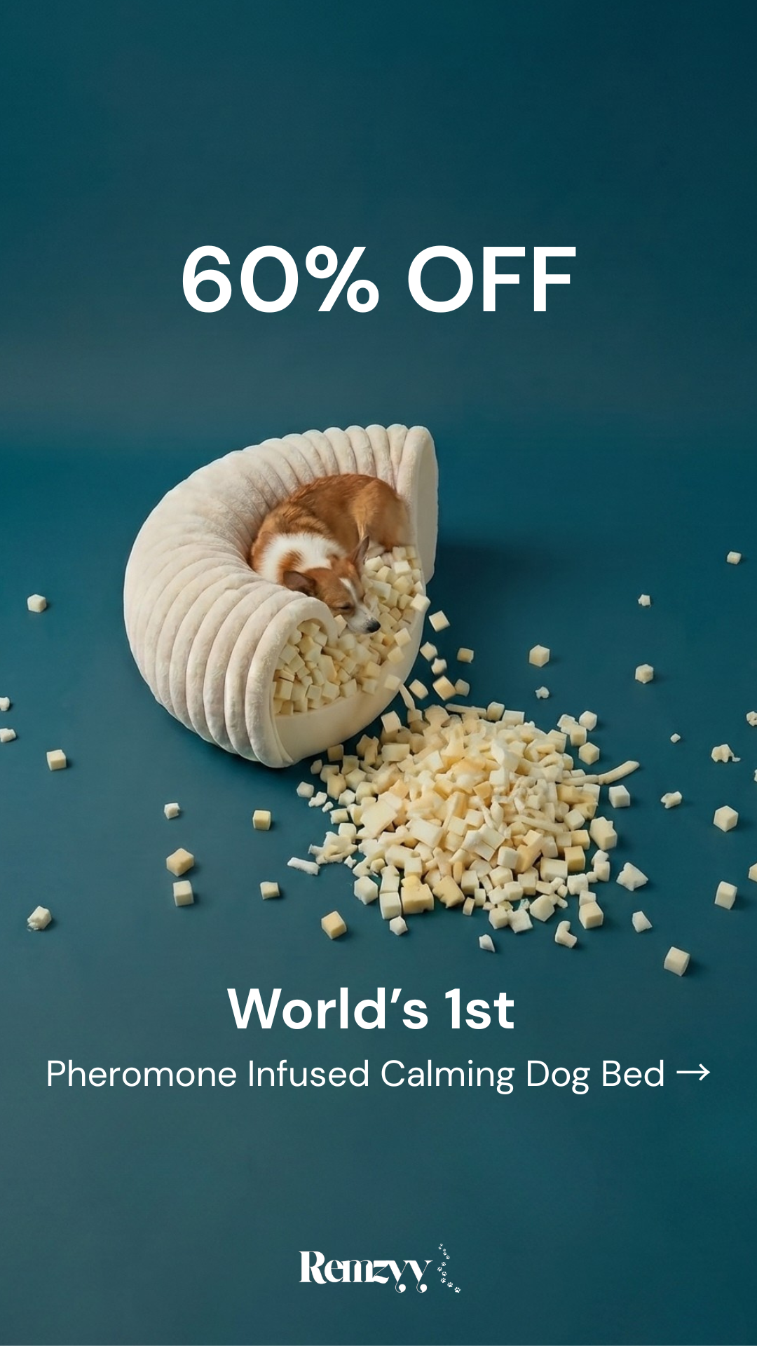 Pawernt Patrol Facebook ad