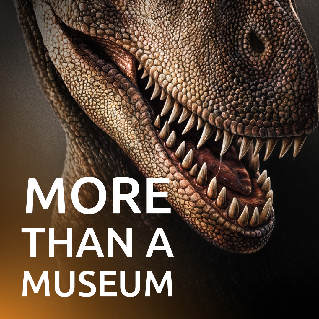 Creation Museum Facebook ad: Meet the Dinos!