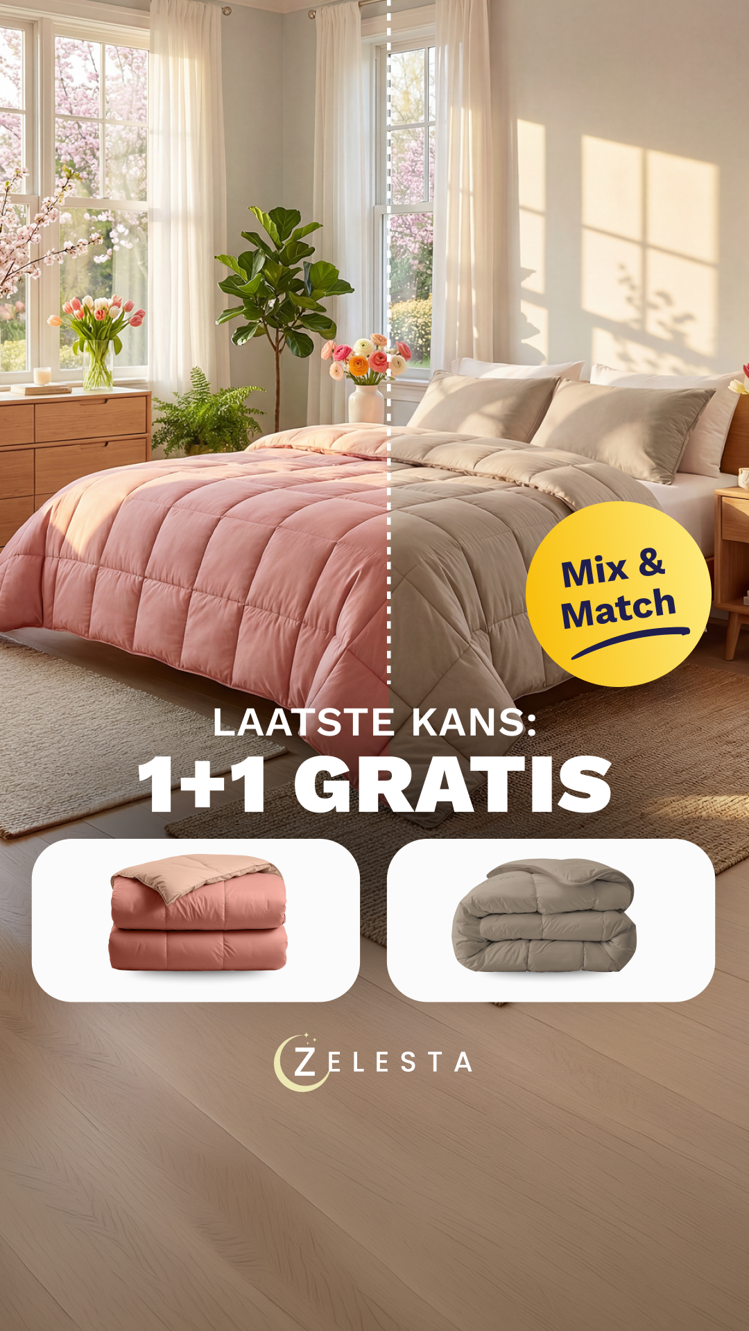 Zelesta.nl Facebook ad