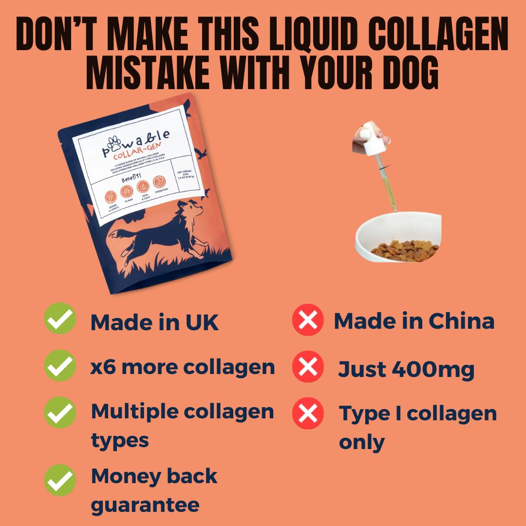 Pawable Facebook ad