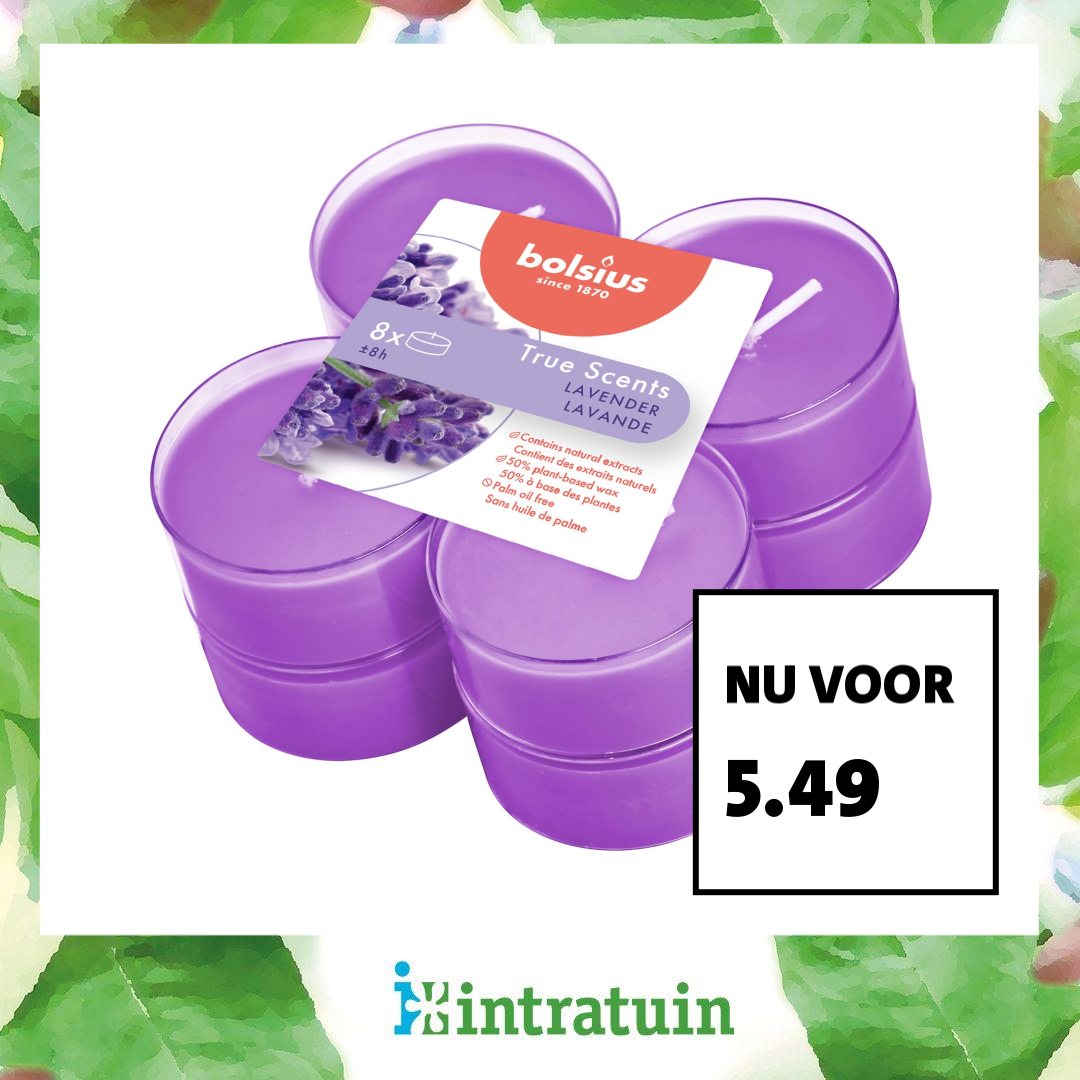 Intratuin Facebook ad