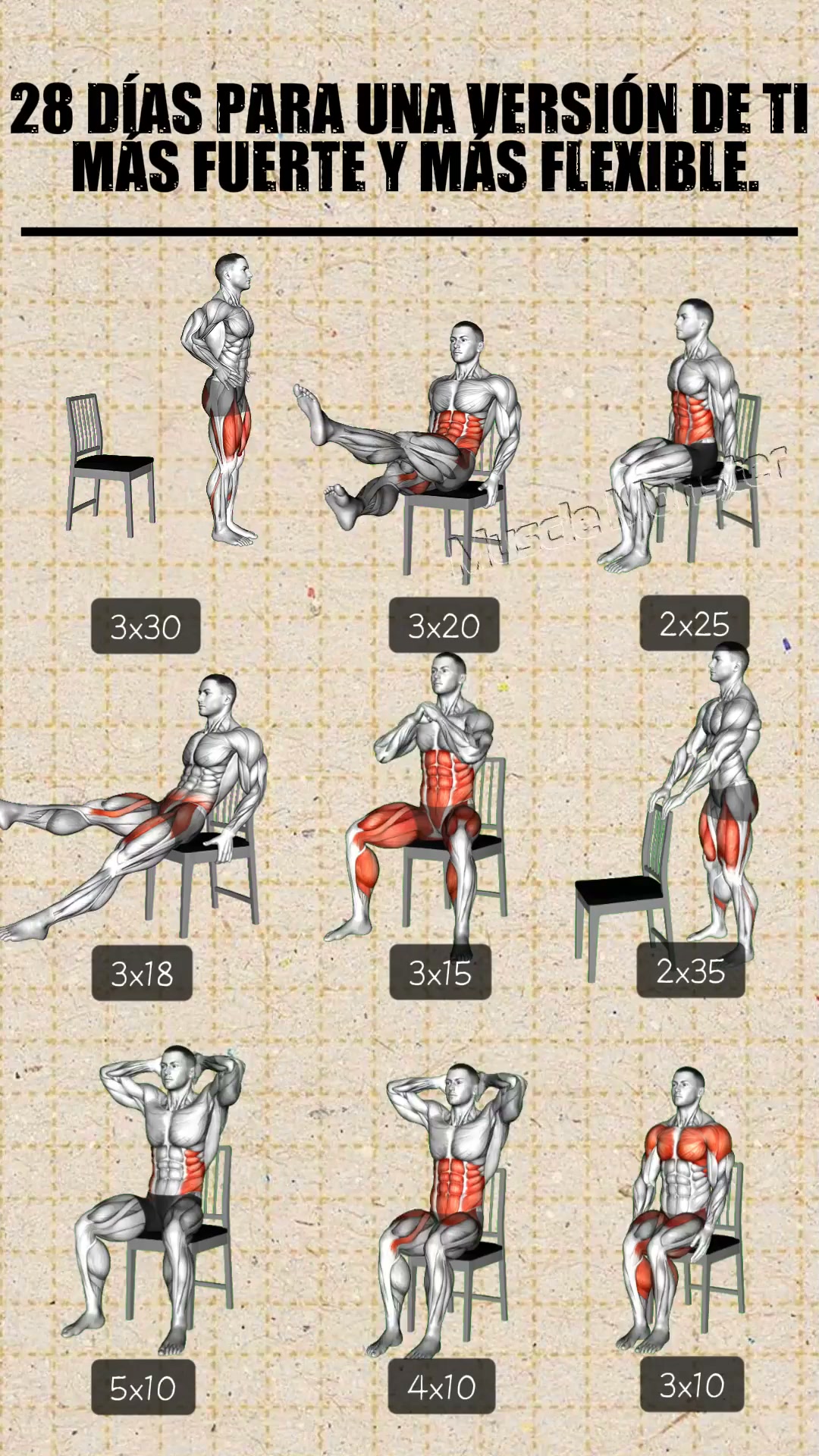21-Day Muscle Workout Planner Facebook ad: ¡Comenzar el entrenamiento!