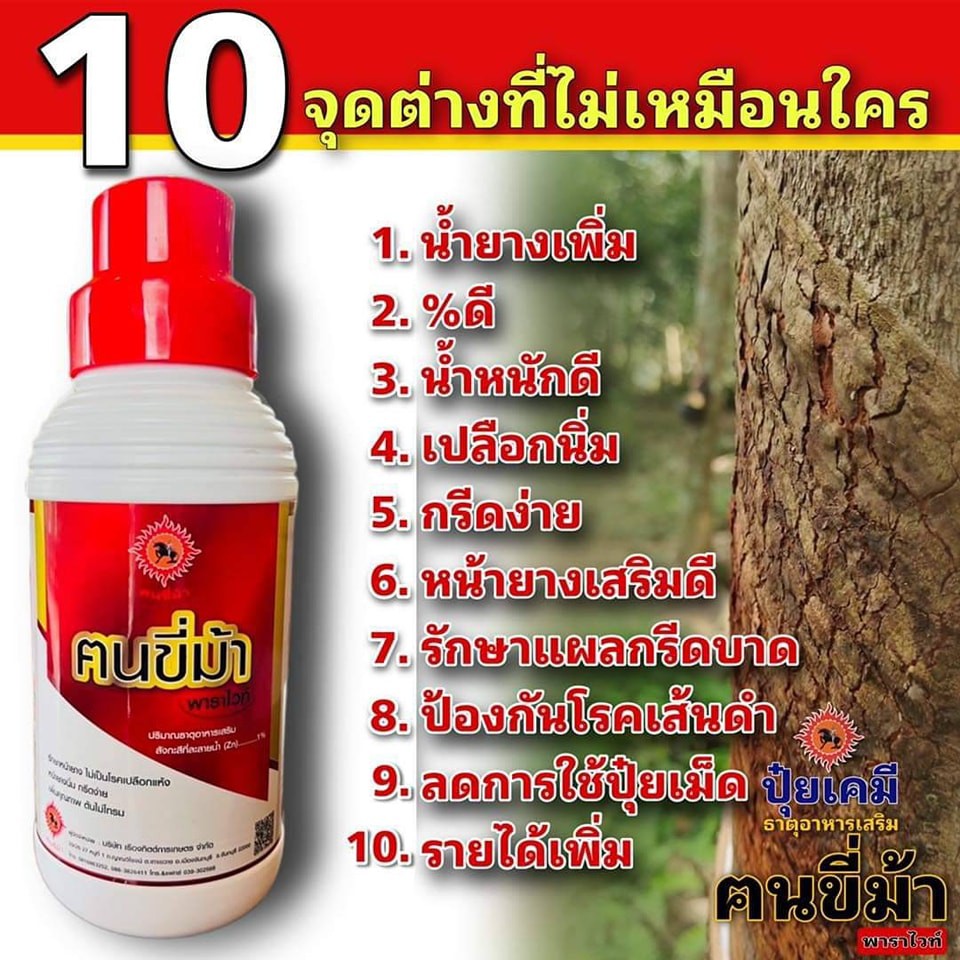 พาราไวท์ เวียงสระ Facebook ad: สวนยางต้องมี