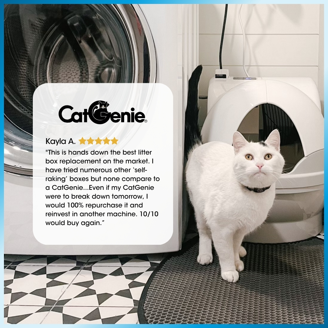 CatGenie Facebook ad from Aug 10, 2026
