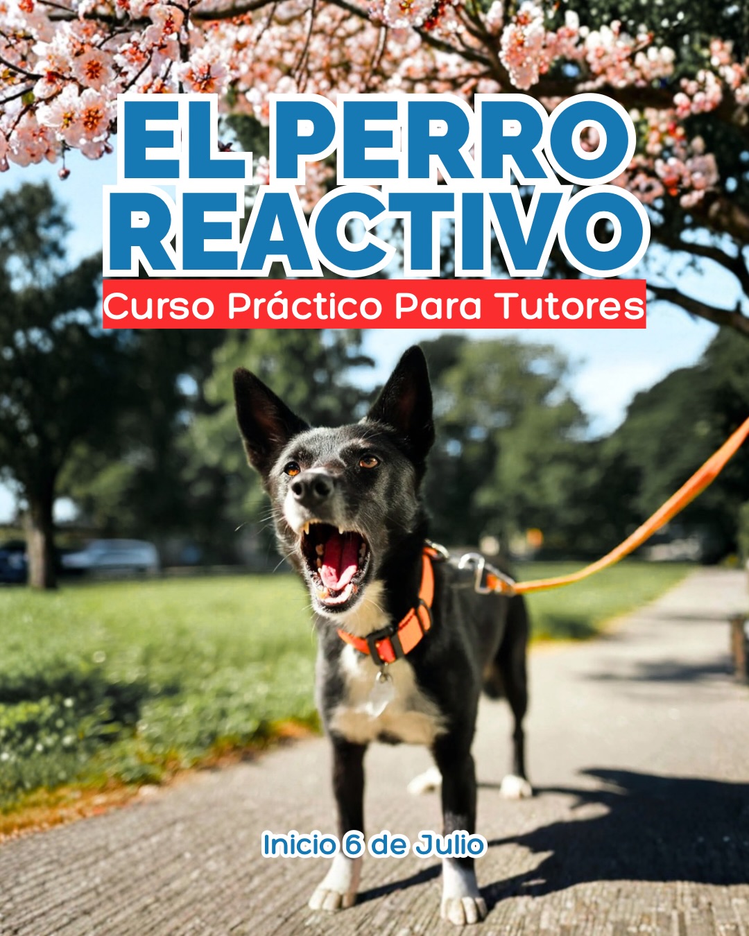 Laescueladetupac Facebook ad: EL PERRO REACTIVO