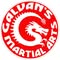 Galvan's Martial Arts in Brownsville