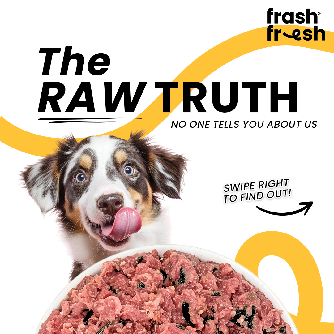 Silversky Pet Care Facebook ad: The RAW truth your dog would approve.