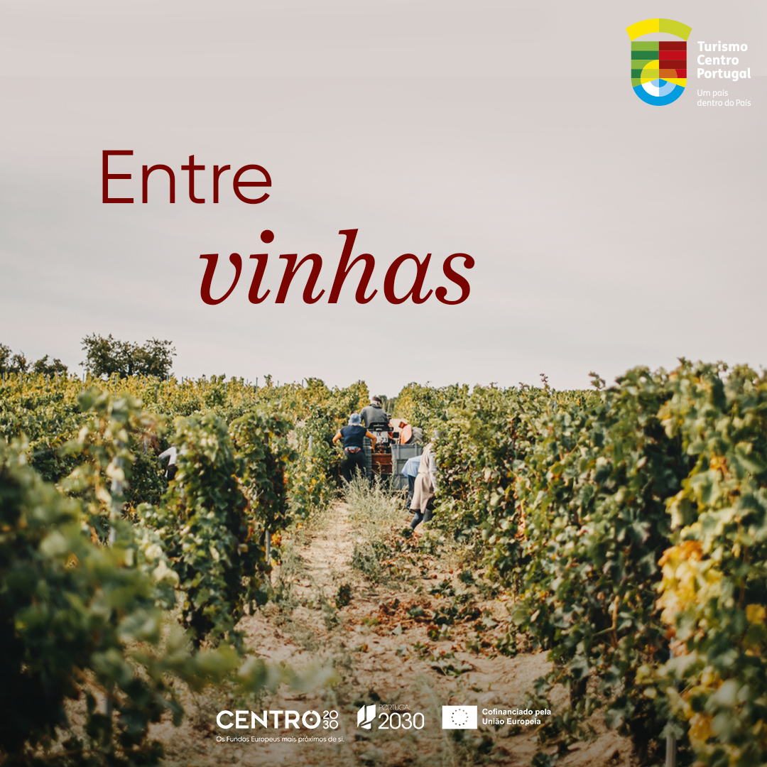 Turismo Centro de Portugal Facebook ad: Entre vinhas, sabores e tradições, descubra experiências…