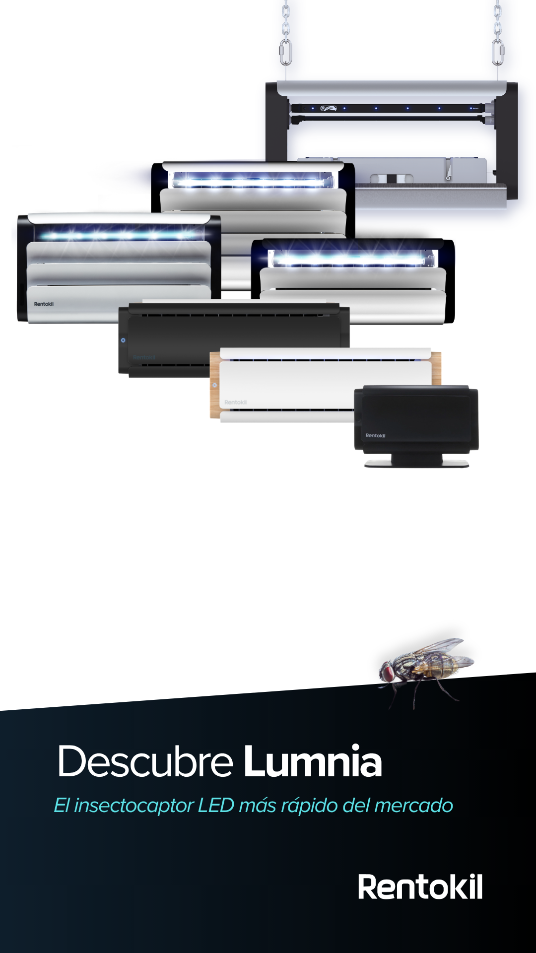 Rentokil España Facebook ad: Control de Moscas Profesional | Sistema Lumnia | Rentokil…