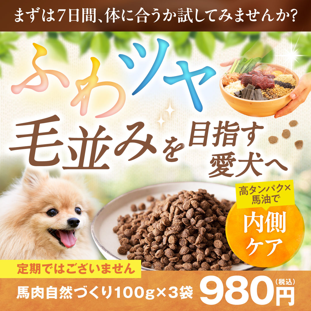 健康いぬ生活 Facebook ad