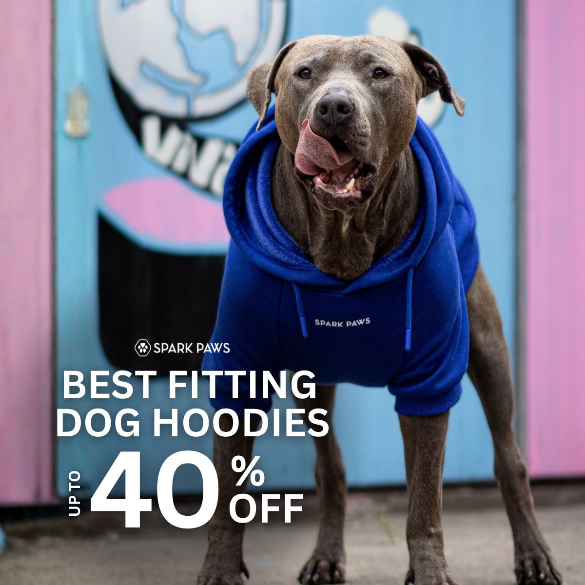 Spark Paws Facebook ad