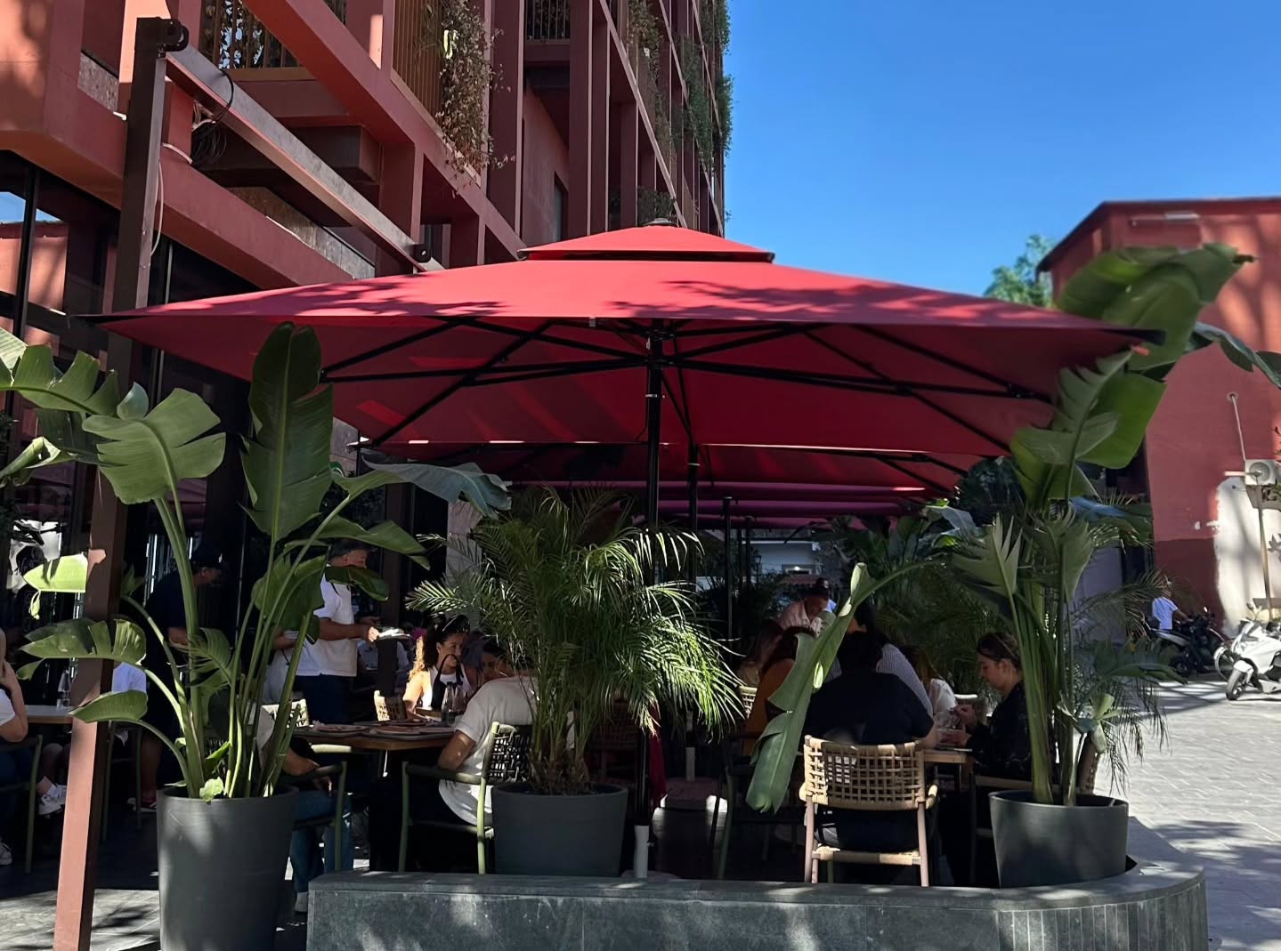 APOLLO.al - Outdoor Living Concept Facebook ad