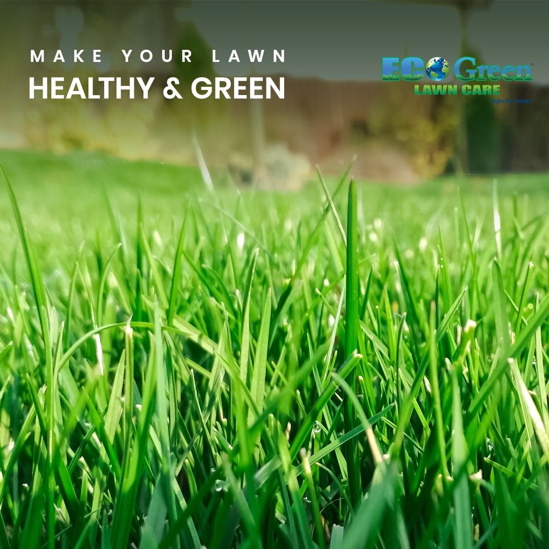 EcoGreen Lawn Care Facebook ad from Feb 20, 2025