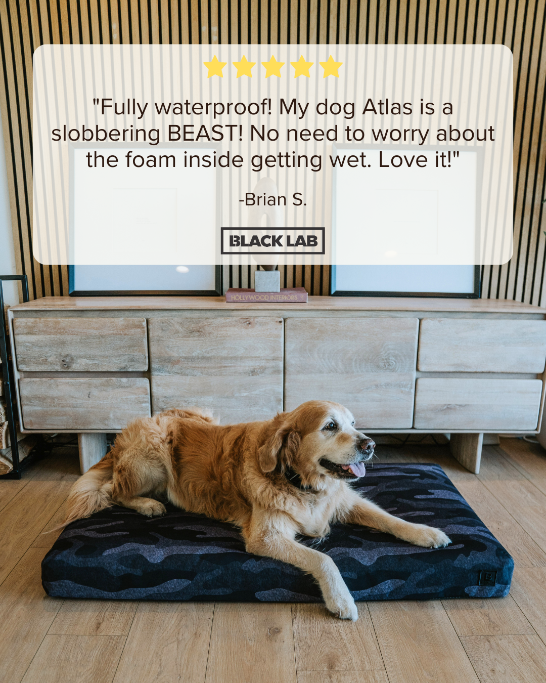 Black Lab Brands Facebook ad