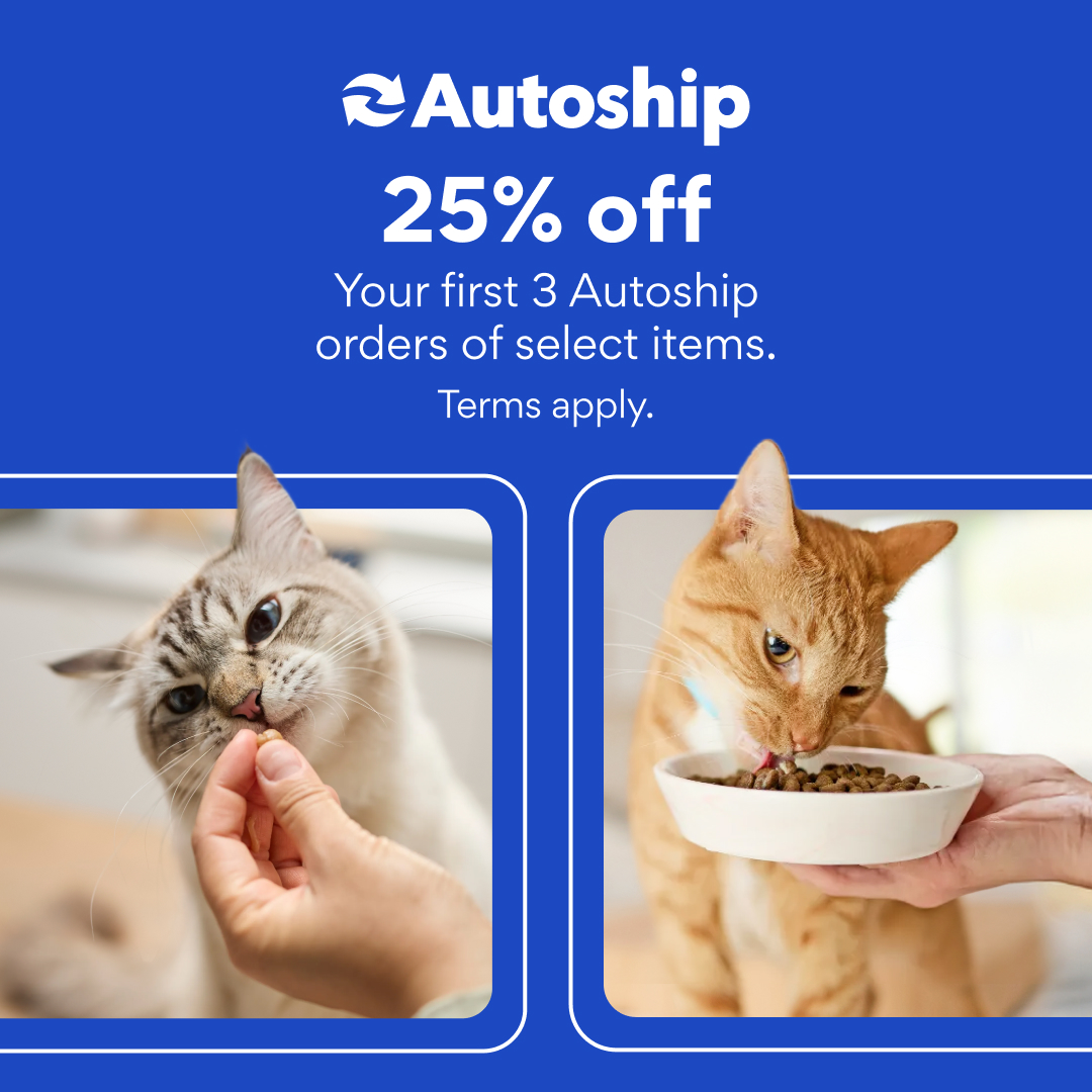 Chewy Canada Facebook ad
